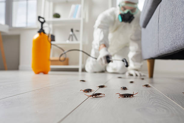 Commercial Kitchen Cockroach Control in Lathrop
